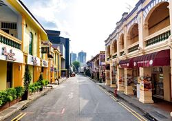 Little India Conservation Area (D8), Shop House #582274241